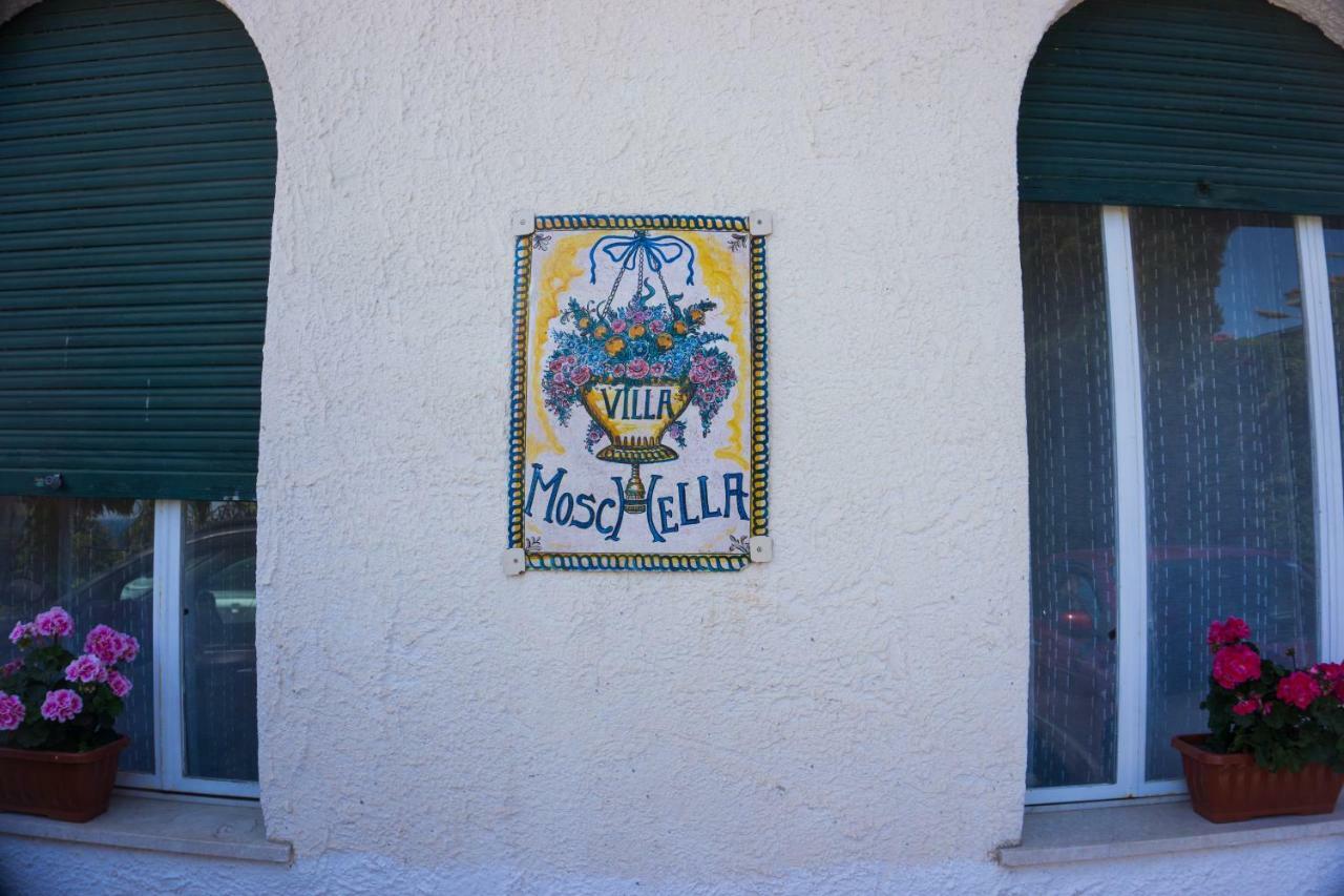 Villa Moschella ตาออร์มินา ภายนอก รูปภาพ